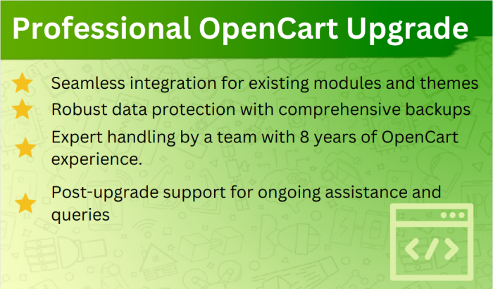 Seamless Professional OpenCart Upgrade