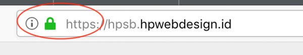 Safe SSL Sign on Browser
