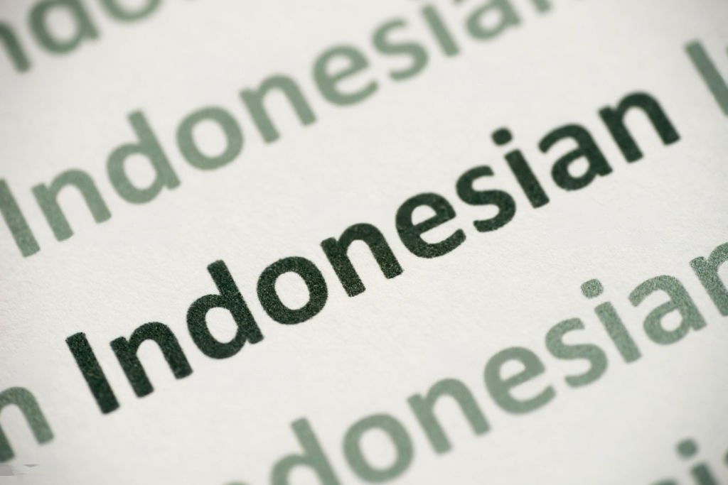 Tutorial 6 - How to Change Language to Bahasa Indonesia